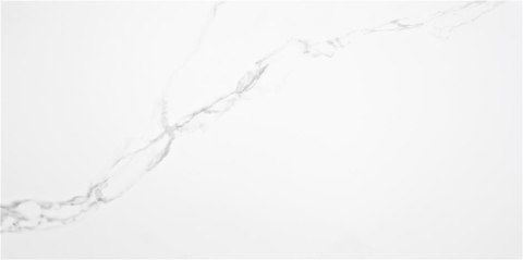 PUNE BLANCO MATE 60x120 G1 AL PUNE BLANCO MATE 60x120 G1 AL