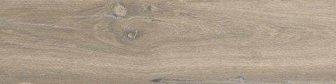 DUBLIN ALMOND 15,5X62 G.1 STARGRES DUBLIN ALMOND 15,5X62 G.1 STARGRES