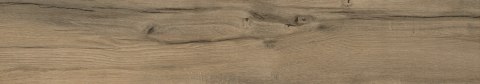 DARING WOOD 20x120 g.1