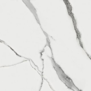 STATUARIO RETT. 60x60 G.1
