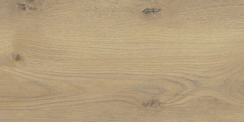 TAIGA / JUKON BEIGE 30x60 G.1 STARGRES TAIGA / JUKON BEIGE 30x60 G.1 STARGRES