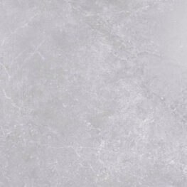 ALEXIA GRIS 60X60 LAPPATO G.1 EG