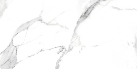 BLIZZARD SWISS WHITE LAPATTO 60x120 G.1 BLIZZARD SWISS WHITE LAPATTO 60x120 G.1