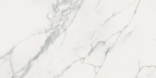 CALACATTA MARBLE WHITE POLISHED RECT 60X120 G.1 OPOCZNO