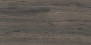 GRES PATIO ASH 45X90 2cm GAT.1 GOLIAT