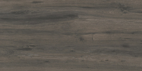 GRES PATIO ASH 45X90 2cm GAT.1 GOLIAT