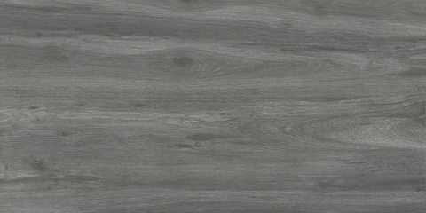GRES PATIO BLACK 45X90 2cm GAT.1 GOLIAT GRES PATIO BLACK 45X90 2cm GAT.1 GOLIAT