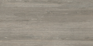GRES PATIO GREY 45X90 2cm GAT.1 GOLIAT