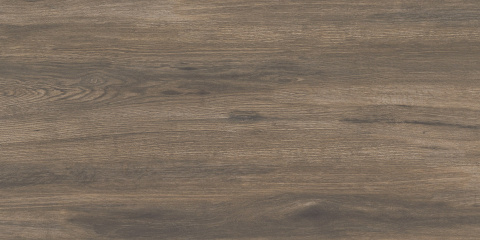 GRES PATIO OAK 45X90 2cm GAT.1 GOLIAT