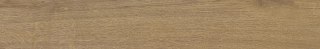 SGR51-1 / PINEA HONEY 9,2x60 G.1