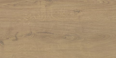 SGR63-2 / GORO BEIGE 30x60 g.2