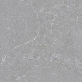 SGR321-1 ASTON GREY(20MM) Rett 60x60x2G.1